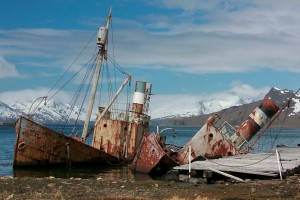 Grytviken