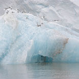 Spitsbergen